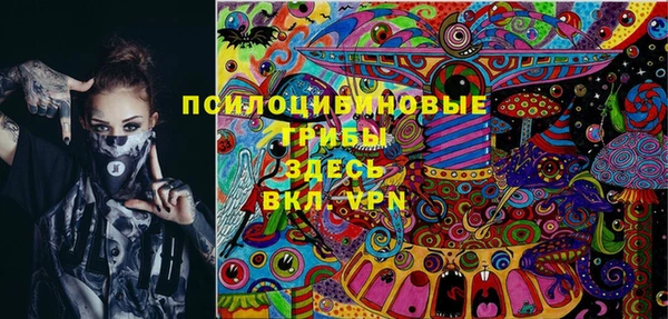 apvp Белокуриха