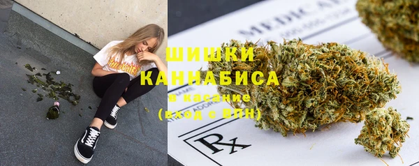 apvp Белокуриха